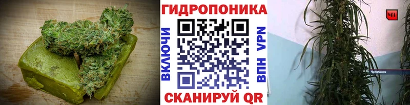 маркетплейс какой сайт  даркнет сайт  OMG вход  Богородицк  Печенье с ТГК марихуана 