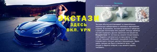 прущие грибы Белокуриха