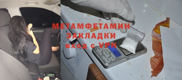 прущие грибы Белокуриха
