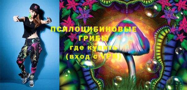 прущие грибы Белокуриха