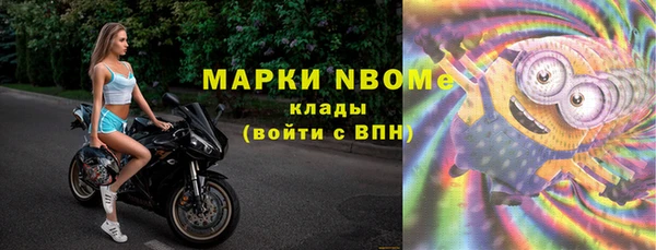 прущие грибы Белокуриха