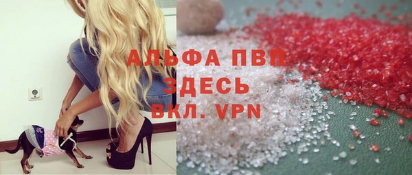 прущие грибы Белокуриха