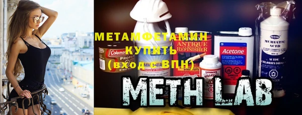 прущие грибы Белокуриха