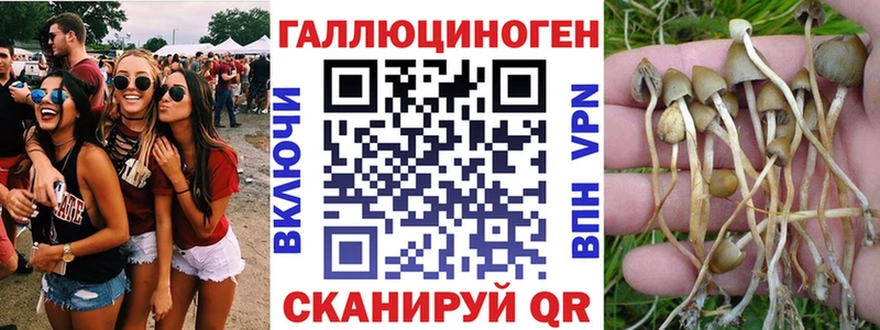 Галлюциногенные грибы ЛСД  Богородицк 